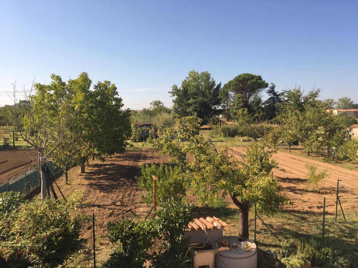 Tuscan Dream Casa Vacanze 尼阿博勒皮耶韦 外观 照片